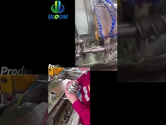 Elementi/componenti della vite