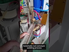 Saldatrici automatiche a dadi e saldatrici a punto