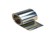 Striscia duplex/cinghia/bobina dell'acciaio inossidabile S31803 per le applicazioni ad alta temperatura