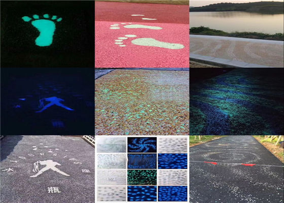 Conchiglie luminose della conca per la decorazione del carro armato di pesce