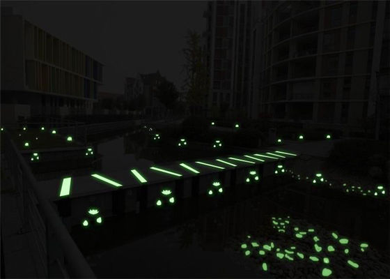 Conchiglie luminose della conca per la decorazione del carro armato di pesce